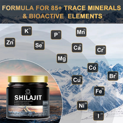 60g 100% Himalaya Pure Shilajit Resin Original Mineral Health Supplement Non-GMO Brain Memory Cognitive Energy Health